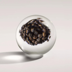 NHB037CR3-Molton-brown-gel-de-dus-2.png