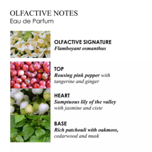 NMR034-Molton-brown-edt-parfum-3.png